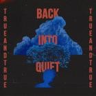 trueandtrue - Back into Quiet