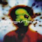 Trickpony - 247 Heaven