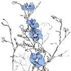 Graintable - Music to Watch Seeds Grow By 003: Graintable (Blue F