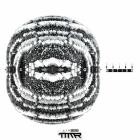 Skind - Motion