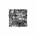 Brandon Juhans - Illusion Break
