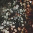 Chloe Lula - Ego Sum EP