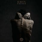 Haven - Causes