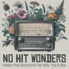 No Hit Wonders - Hidden Pop Gems from the 60s  70s 80s