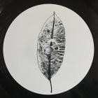 Alex Do-Plangent007- PLAN007 -16BIT-WEB-FLAC-2017-AGITB