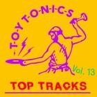 VA - Toy Tonics Top Tracks Vol  13