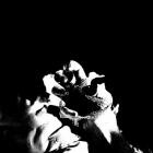 Marcel Sletten - Psycho Narcissus