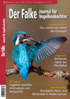 Der Falke - Journal fuer Vogelbeobachter 03/2026
