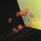 Shane Driscoll - Sounds in the Dark Oppression Break (Deluxe Edition)