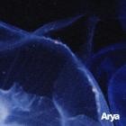 Adrian Skiba - Shades