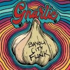 Bayou City Funk - - Gnarlic  