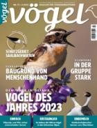 Voegel - Magazin fuer Vogelbeobachtung 73/2023