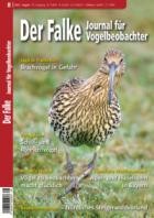 Der Falke - Journal fuer Vogelbeobachter 08/2023