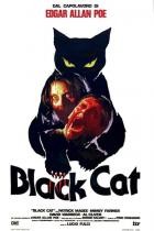 The Black Cat