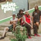 Pulses  - pulses  pack, vol  1