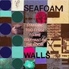 Seafoam Walls - Standing Too Close to the Elephant in the Room