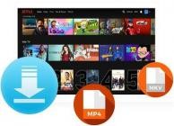 Pazu Netflix Video Downloader v1.6.2