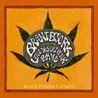 Brant Bjork and the Low Desert Punk Band-Black Power Flower-24BIT-96KHZ-WEB-FLAC-2014-FLACCiD