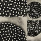 K  Leimer - Muted Forms