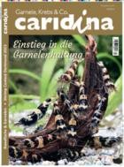 caridina 04/2023