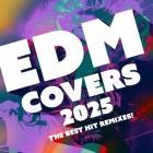 EDM Covers 2025 (The Best Hit Remixes)