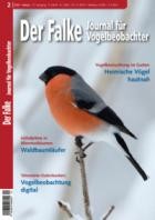 Der Falke - Journal fuer Vogelbeobachter 02/2024