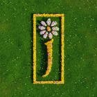 James-Nothing But Love The Definitive Best-WEBMARR