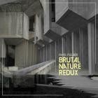 Rhys Fulber - Brutal Nature Redux