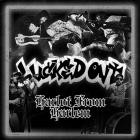 Lucked Out - Harlot From Harlem