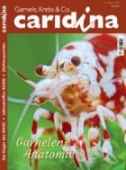 caridina 03/2024