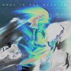 C Y G N - Soul in the Machine