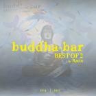 Buddha Bar Best Of 2  by Ravin