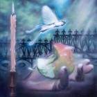 Sea Lemon - Diving For A Prize