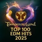 Tomorrowland 2025 Top 100 EDM HITS (07.11.2025)