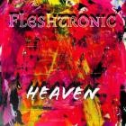 Fleshtronic - Heaven