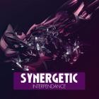 VA - Synergetic Interpendance