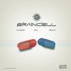 Braincell - Illusion And Reality