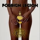 Foreign Legion-The Secret Knock-16BIT-WEB-FLAC-2008-LSM