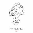 Feather Mountain - Nidus