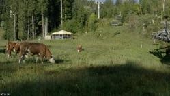 Der.Blaeuling.und.die.neue.Wildnis.Das.Mangfallgebirge.GERMAN.DOKU.WS.HDTVRip.x264-Goodboy