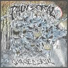 Pain Spiral - Cursed Soul