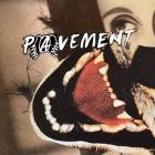 Pavement - Hecklers Choice Big Gums And Heavy Lifters (A Pavement Collection)
