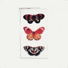Life - Demo Ten