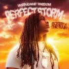 Hurricane Wisdom - Perfect Storm Sorry 4 The Rain