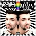 Domes Project - The Little Prince