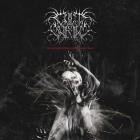 Cult Burial - Collapse Of Pattern, Reverence Of Dust