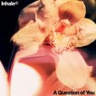 Inhaler - A Question of You