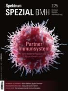 Spektrum Der Wissenschaft SPEZIAL Biologie Medizin Hirnforschung 02/2025