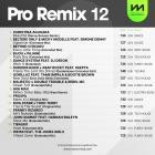 Mastermix - Pro Remix Vol 12