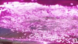 PlayboyPlus.25.12.27.Alyssa.Arce.Is.Hot.And.Free.XXX.REMASTERED.1080p.MP4-WRB